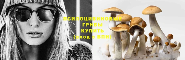 соль ск Алексин