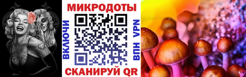 Галлюциногенные грибы прущие грибы  Купить закладки  Сургут 
